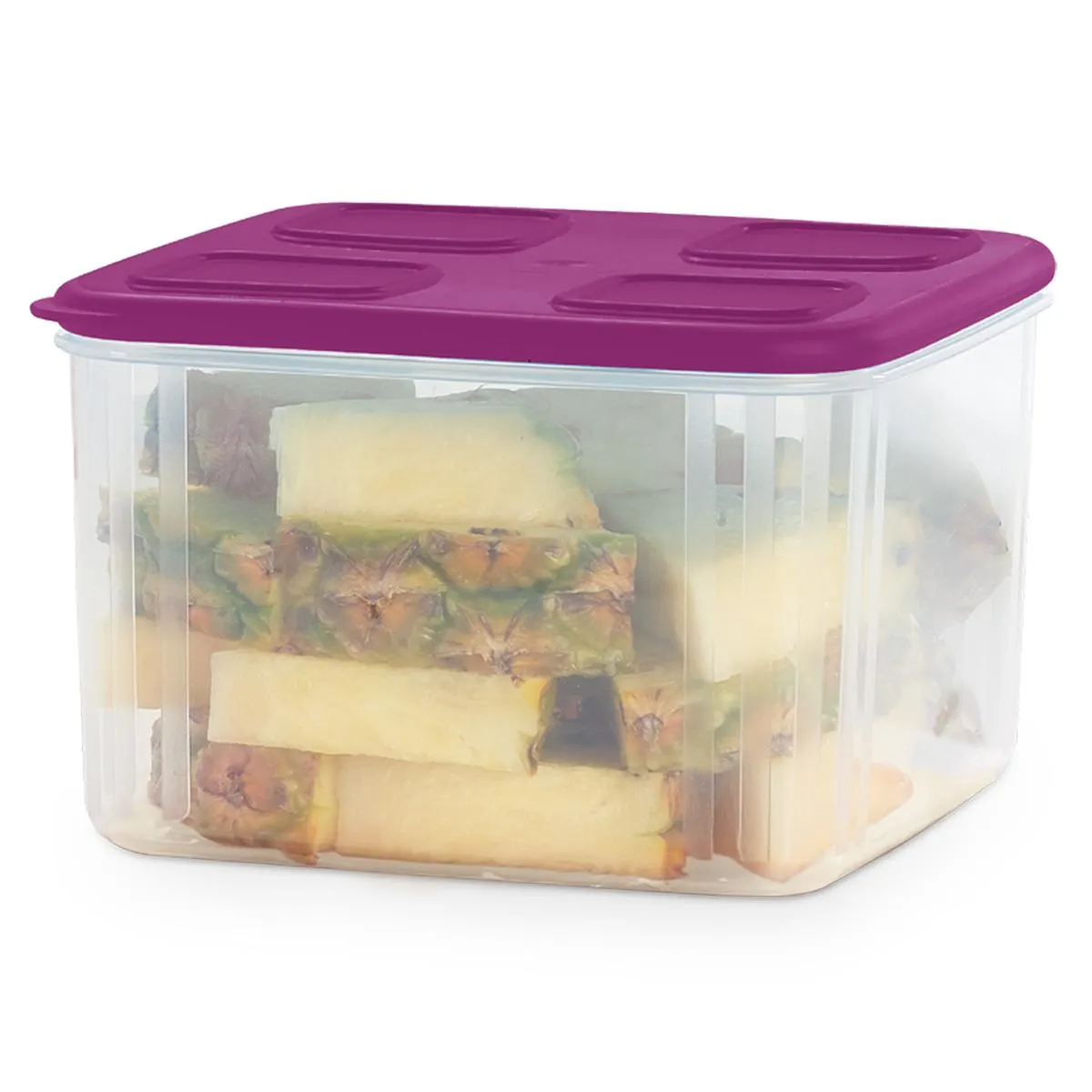 Recipiente para conservar alimentos frescos. Capacidad 2.5L