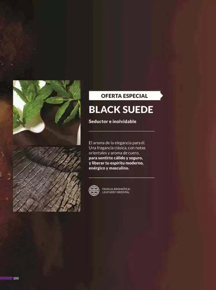 Catálogo de Avon COSMÉTICOS C5 6 de febrero al 31 de diciembre 2025 - Pagina 100