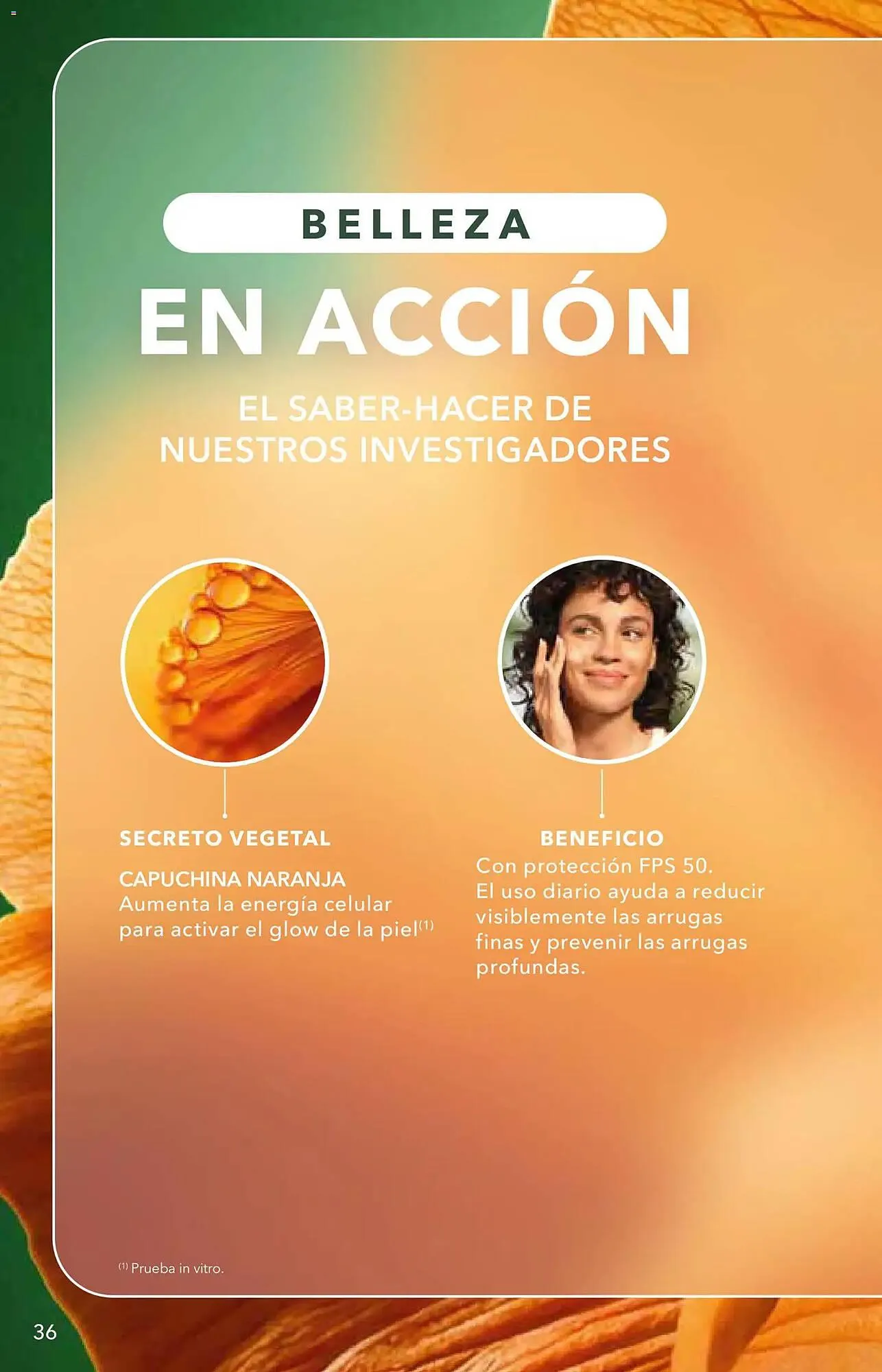 Catálogo de Catálogo Yves Rocher 12 de mayo al 1 de junio 2026 - Pagina 36