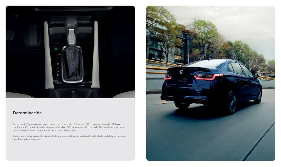 Catálogo de CITY 2024 22 de mayo al 31 de diciembre 2024 - Pagina 5