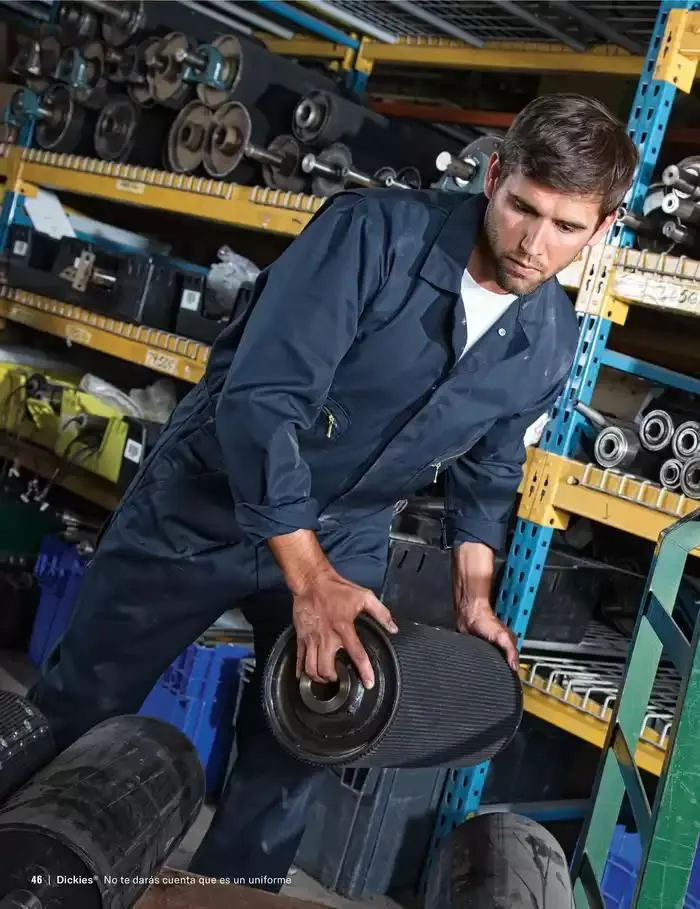 Catálogo de B2B Dickies Catalog 23 de octubre al 30 de abril 2025 - Pagina 46