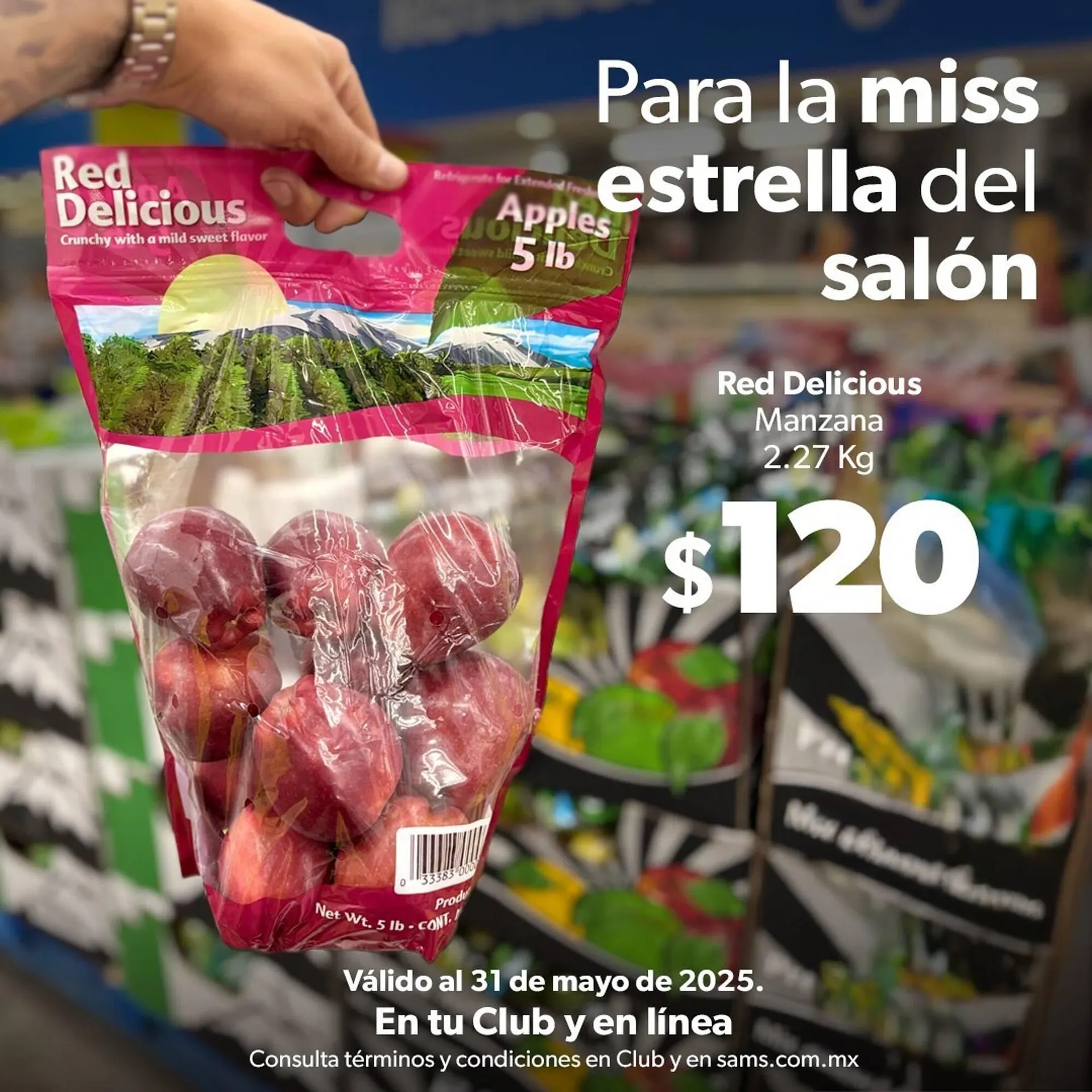 Catálogo de Catálogo Sam's Club 16 de mayo al 31 de mayo 2025 - Pagina 3