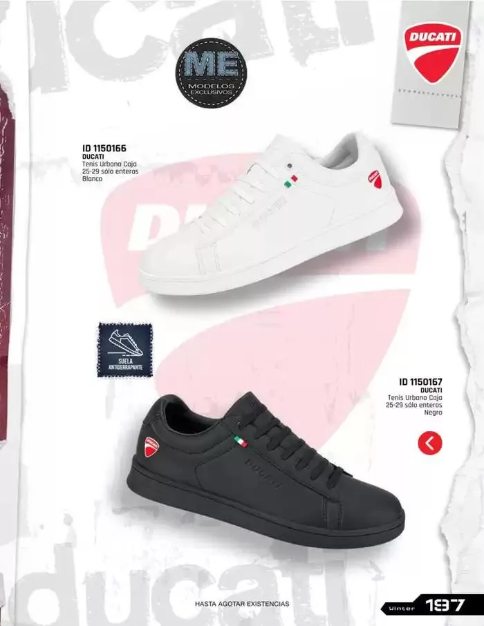 Catálogo de IMPORTADOS WINTER 11 de noviembre al 31 de enero 2025 - Pagina 197