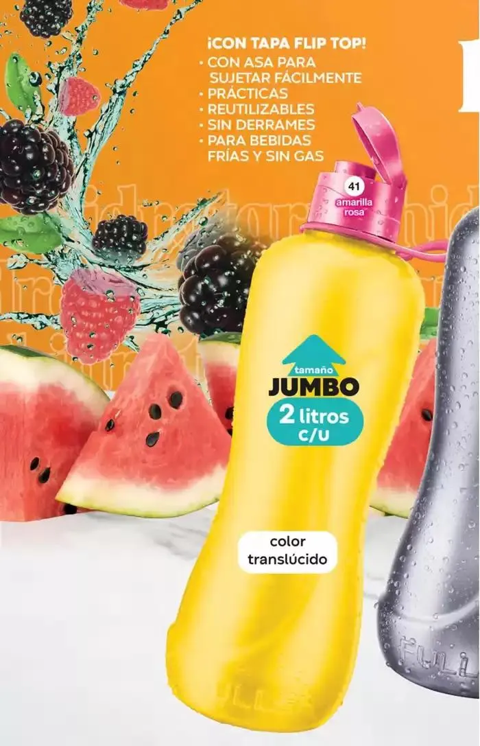 Catálogo de Fuller CAMPAÑA 24 7 de marzo al 25 de marzo 2025 - Pagina 38