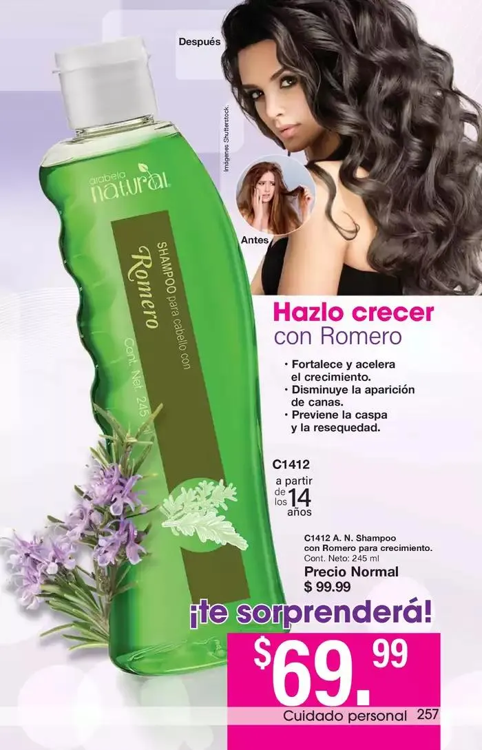 Catálogo de Arabela Campaña 21 16 de septiembre al 3 de octubre 2024 - Pagina 221