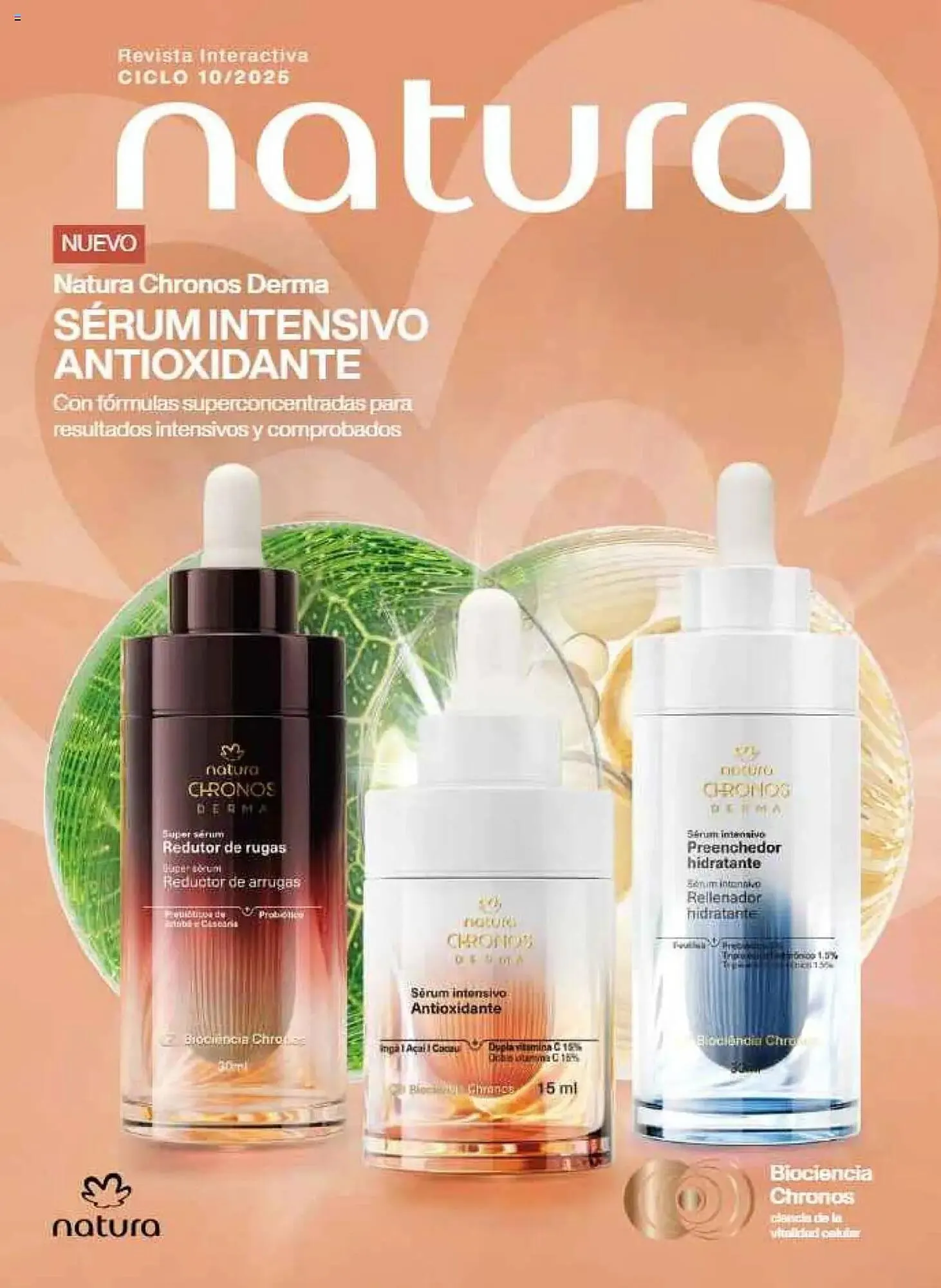 Catálogo Natura - 1
