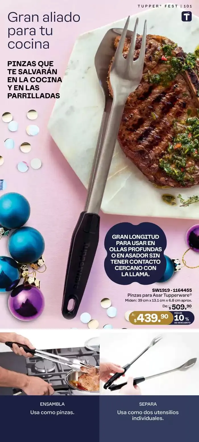 Catálogo de Tupper Tips 20 de diciembre al 29 de diciembre 2024 - Pagina 101