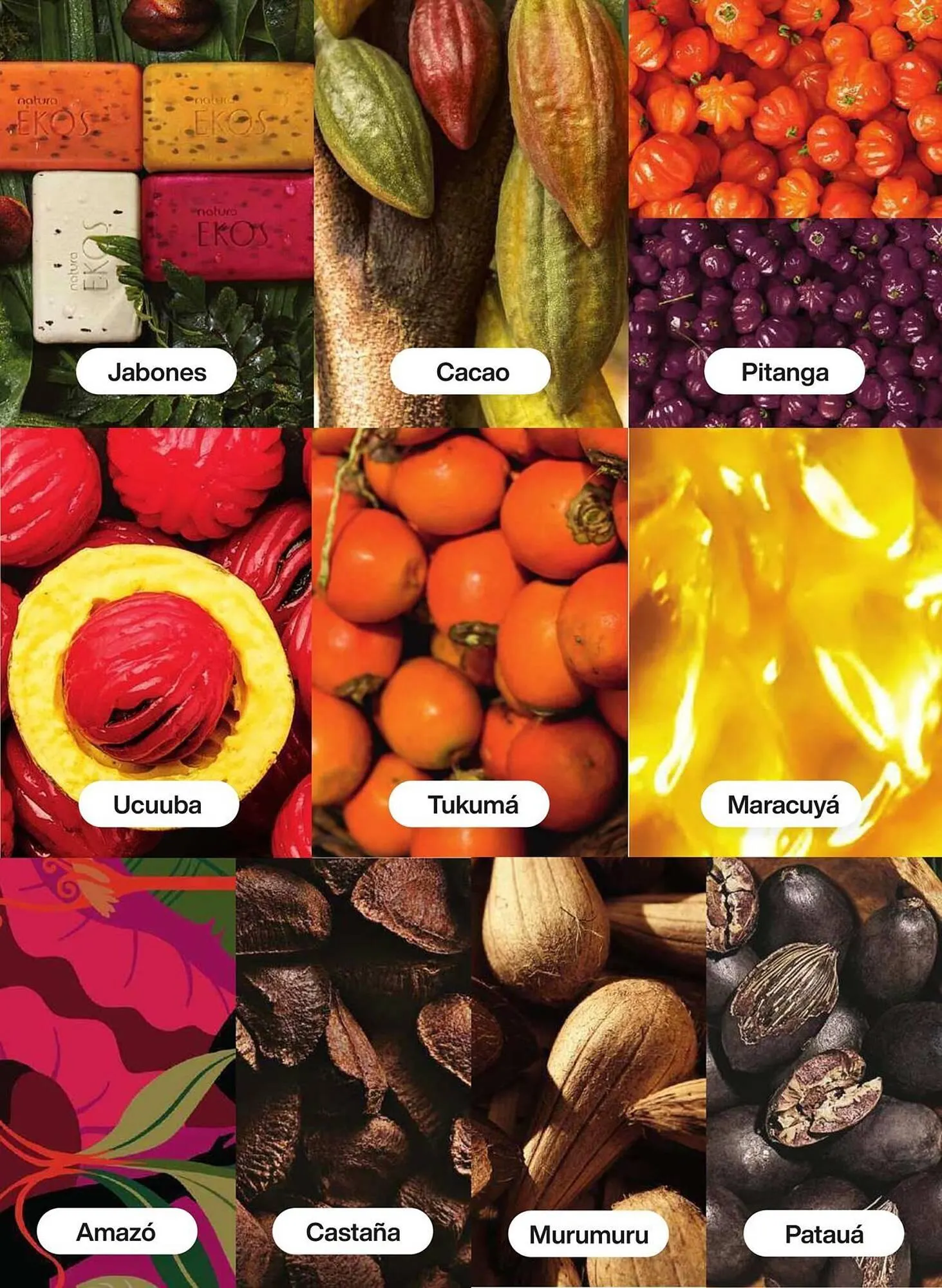 Catálogo de Catálogo Natura 22 de abril al 31 de mayo 2025 - Pagina 101