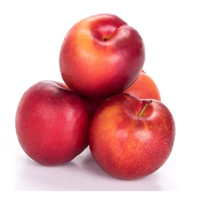 Ciruela Roja Importada