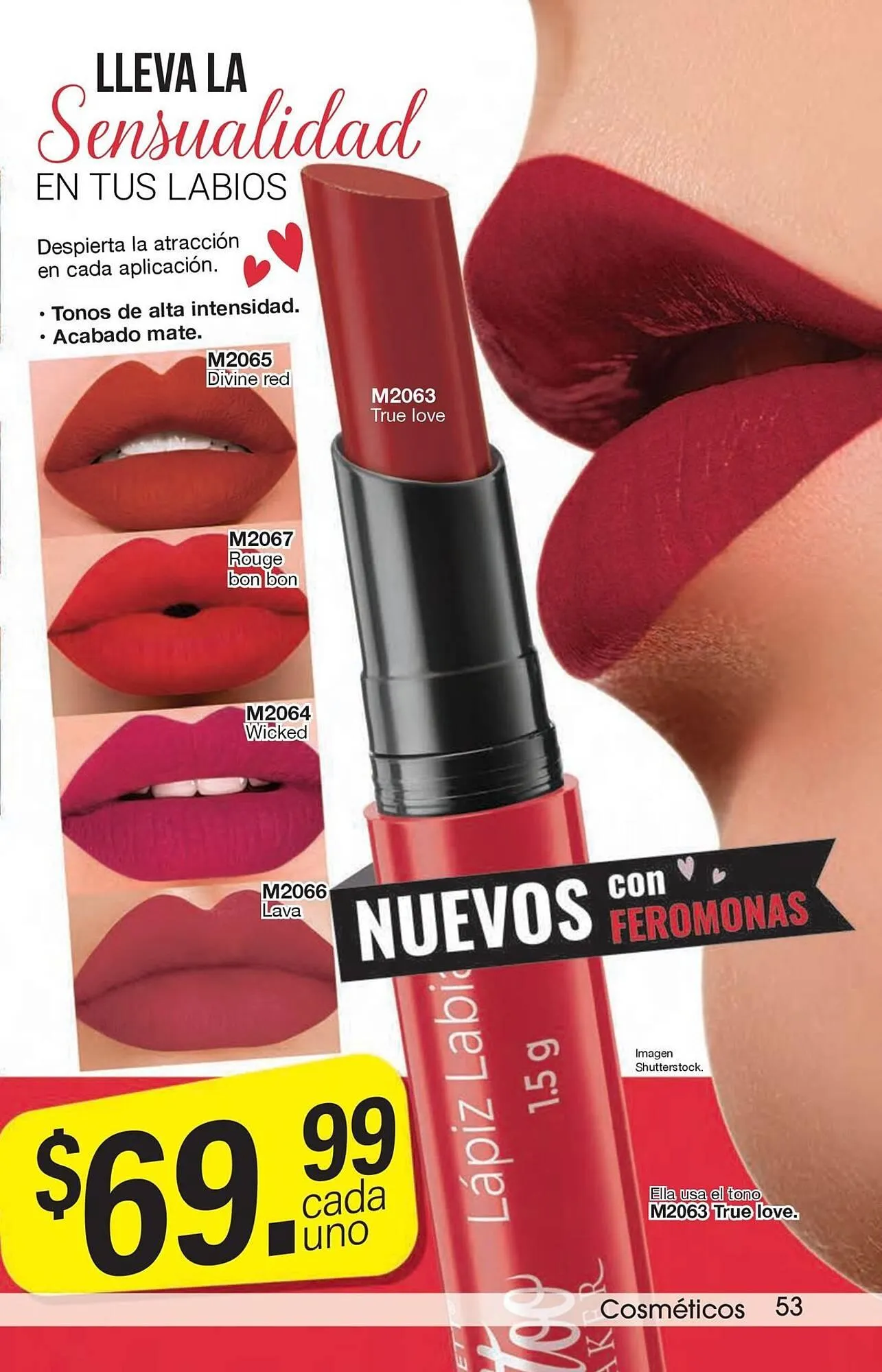 Catálogo de Catálogo Arabela 29 de enero al 19 de febrero 2026 - Pagina 55