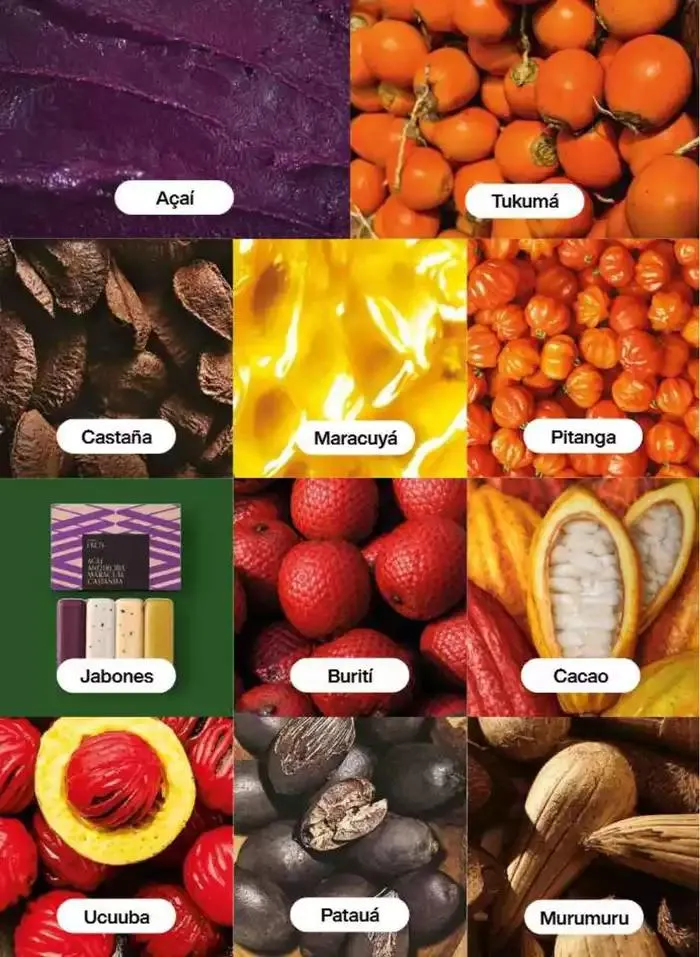 Catálogo de Revista Natura Ciclo 8 2025 1 de agosto al 31 de agosto 2025 - Pagina 110