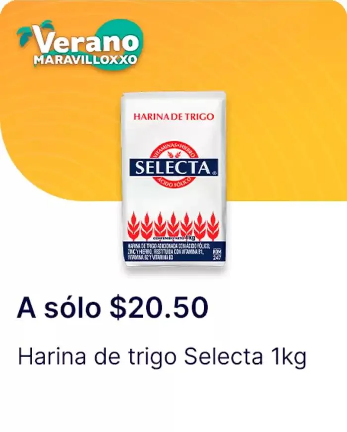 Catálogo de Ofertas principales y descuentos 19 de mayo al 11 de junio 2025 - Pagina 13