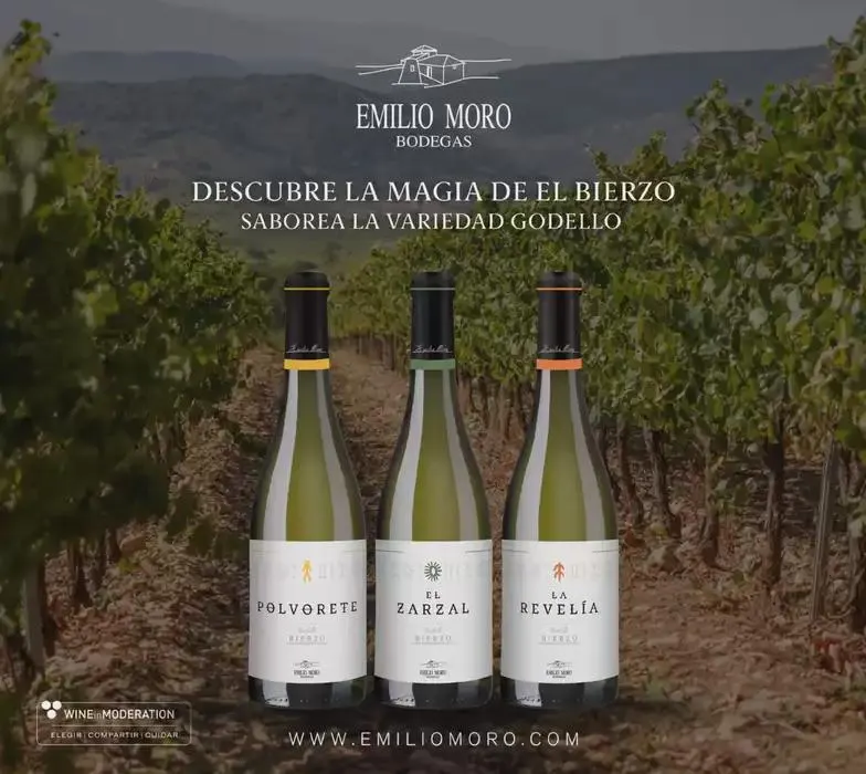 Catálogo de Catálogo 2025 5 de noviembre al 31 de diciembre 2025 - Pagina 27