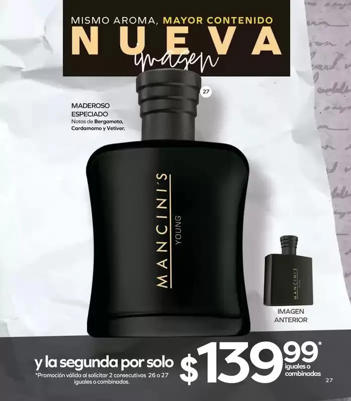 Catálogo de Stanhome - C17 6 de noviembre al 22 de noviembre 2024 - Pagina 31