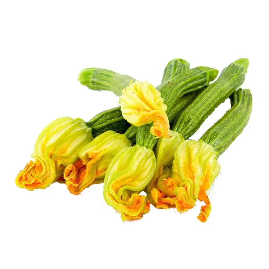 FLOR DE CALABAZA 1 PZ