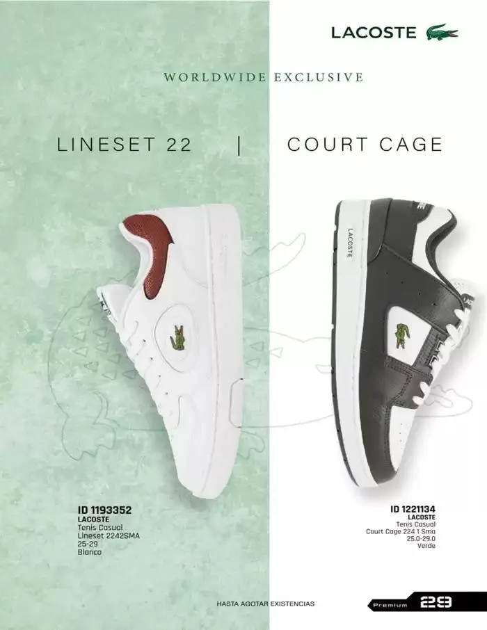 Catálogo de IMP PREMIUM 16 de diciembre al 16 de marzo 2025 - Pagina 29