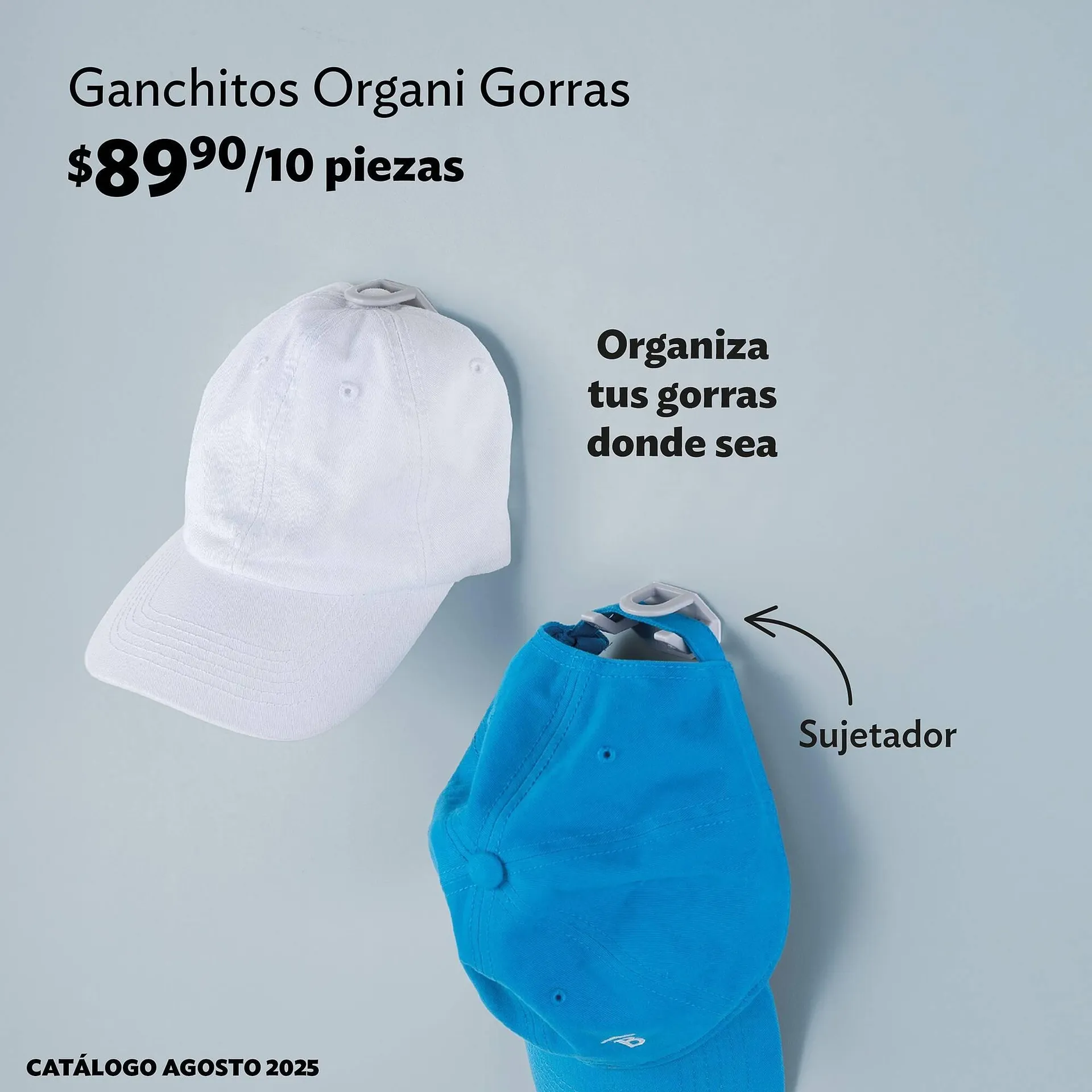 Catálogo de Catálogo BetterWare 12 de agosto al 17 de agosto 2025 - Pagina 5