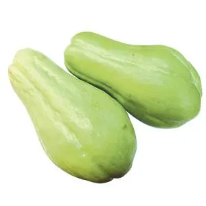 CHAYOTE