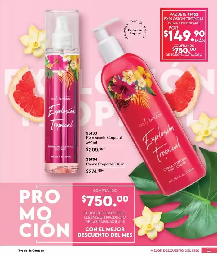 Catálogo de La esencia que transforma. 9 de enero al 31 de enero 2025 - Pagina 11