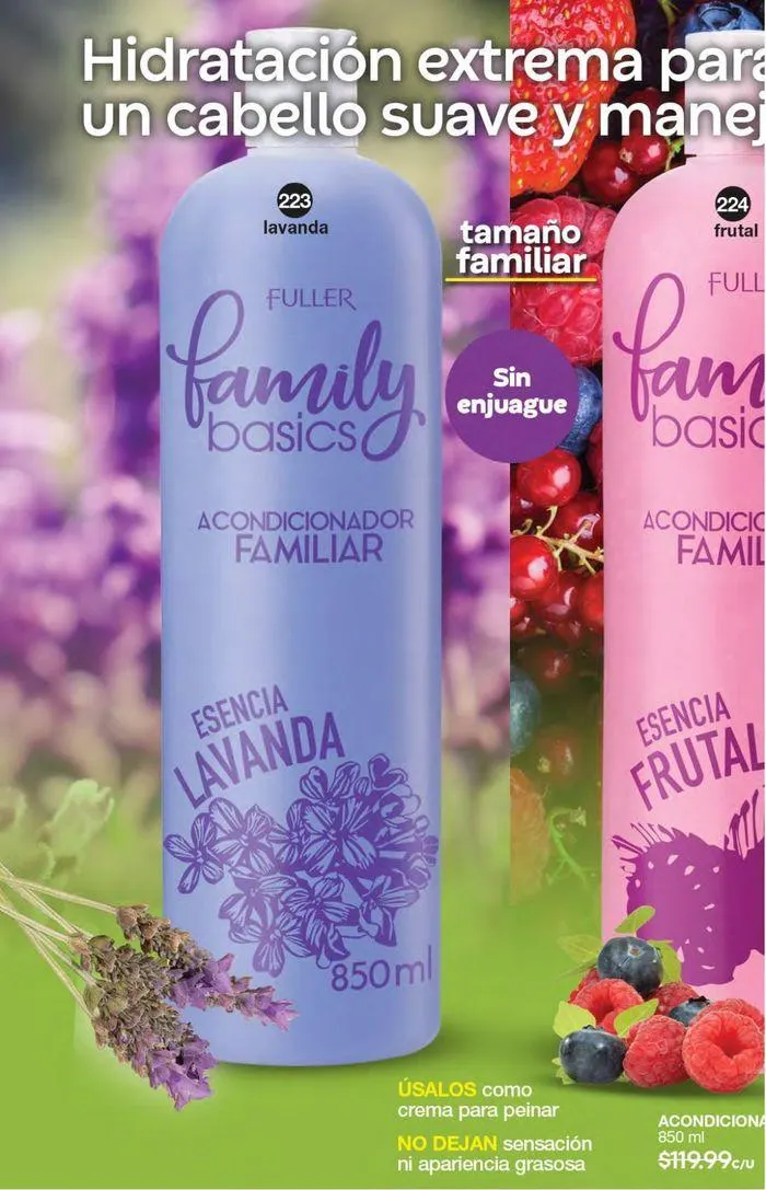 Catálogo de Fuller CAMPAÑA 09 8 de agosto al 27 de agosto 2024 - Pagina 169