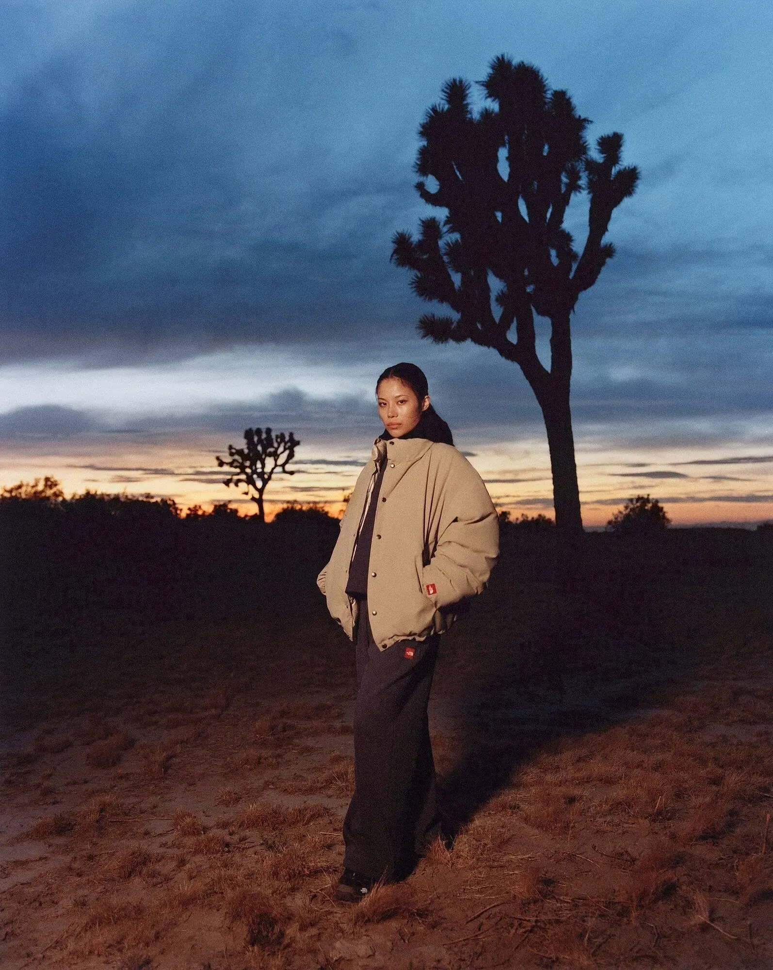 Catálogo The North Face - 1