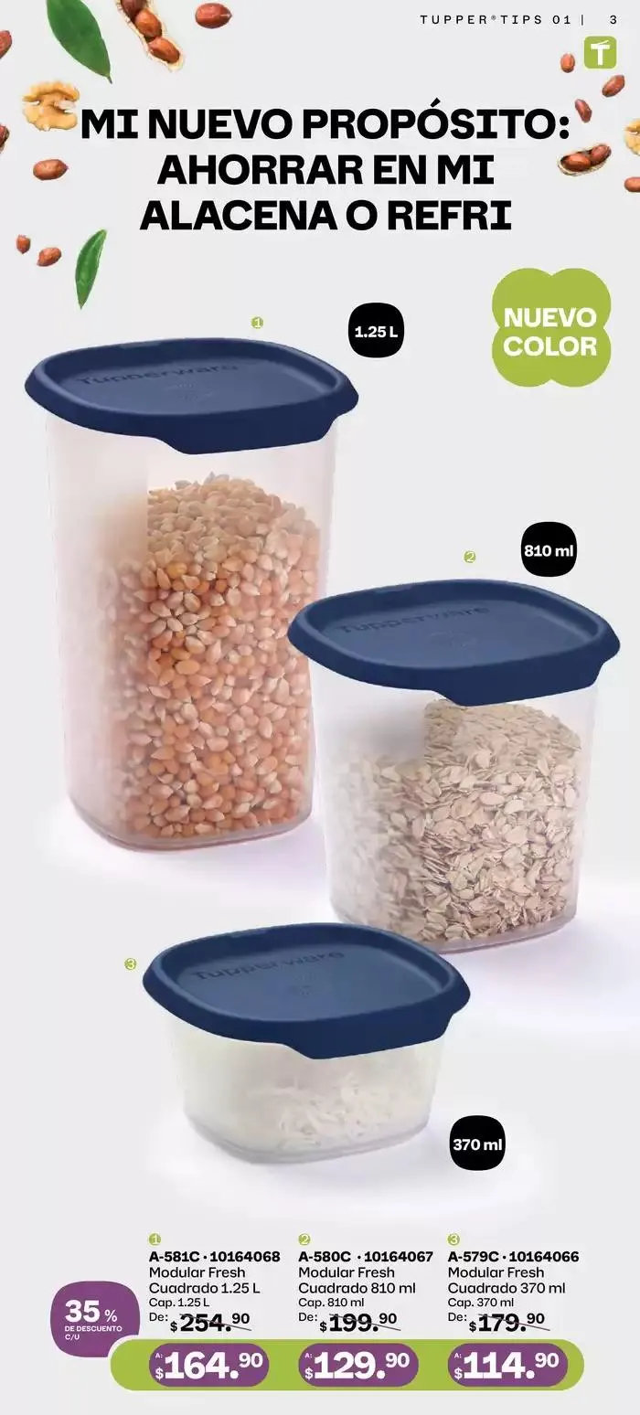 Catálogo de Tupper Tips 01 6 de enero al 26 de enero 2025 - Pagina 3