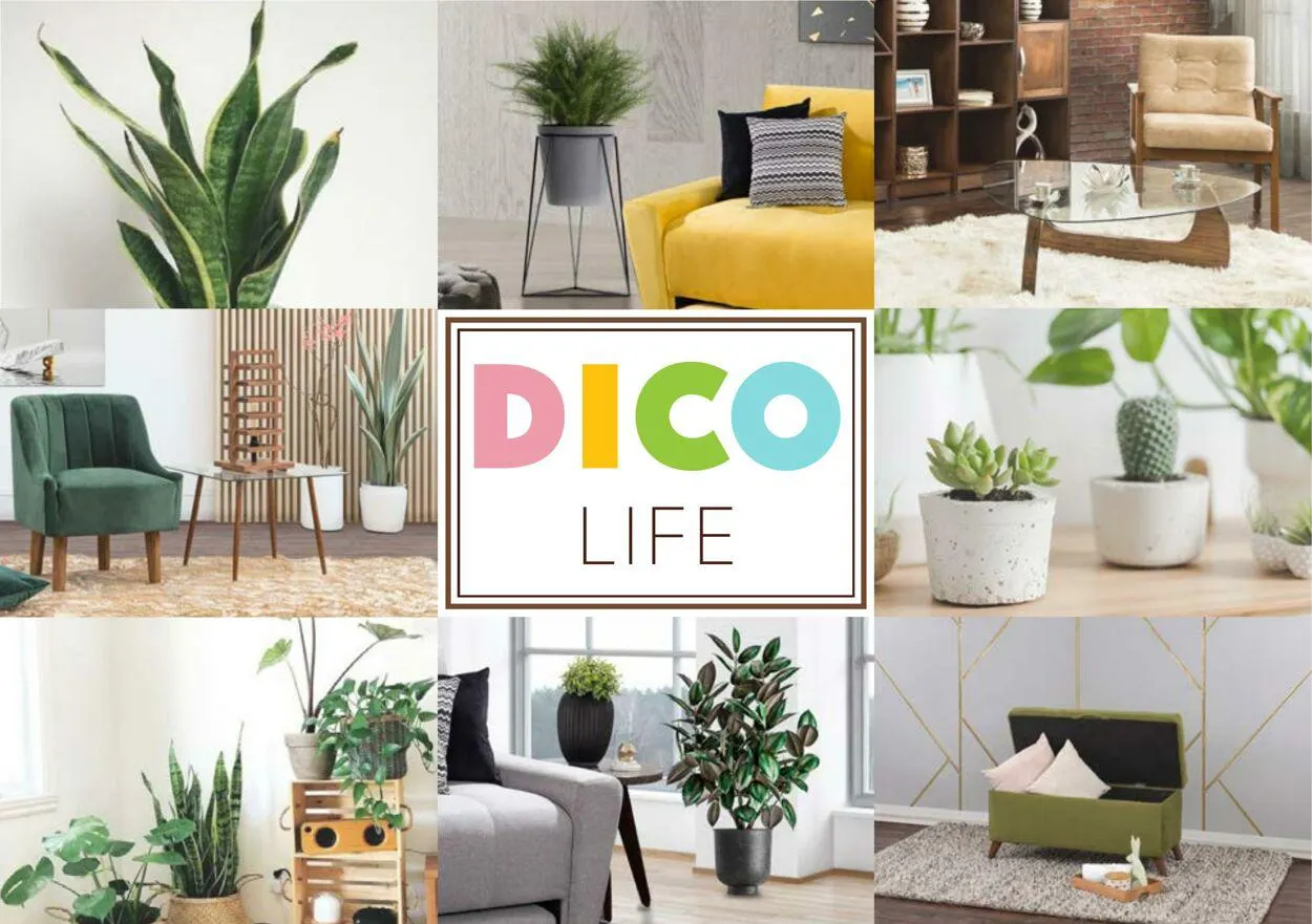 Catálogo de Muebles Dico Oferta actual 1 de enero al 31 de diciembre 2024 - Pagina 1