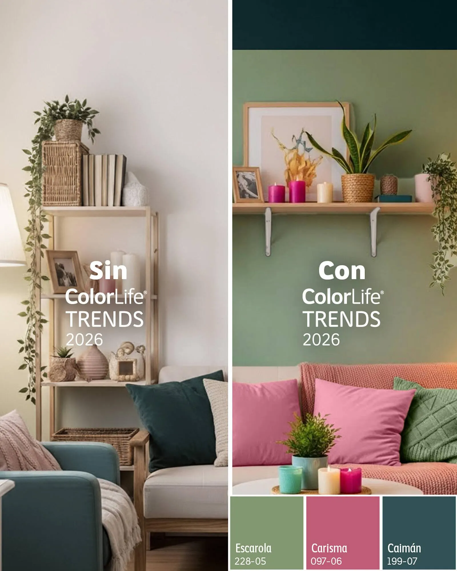 Catálogo de Catálogo Comex 16 de enero al 31 de enero 2026 - Pagina 2