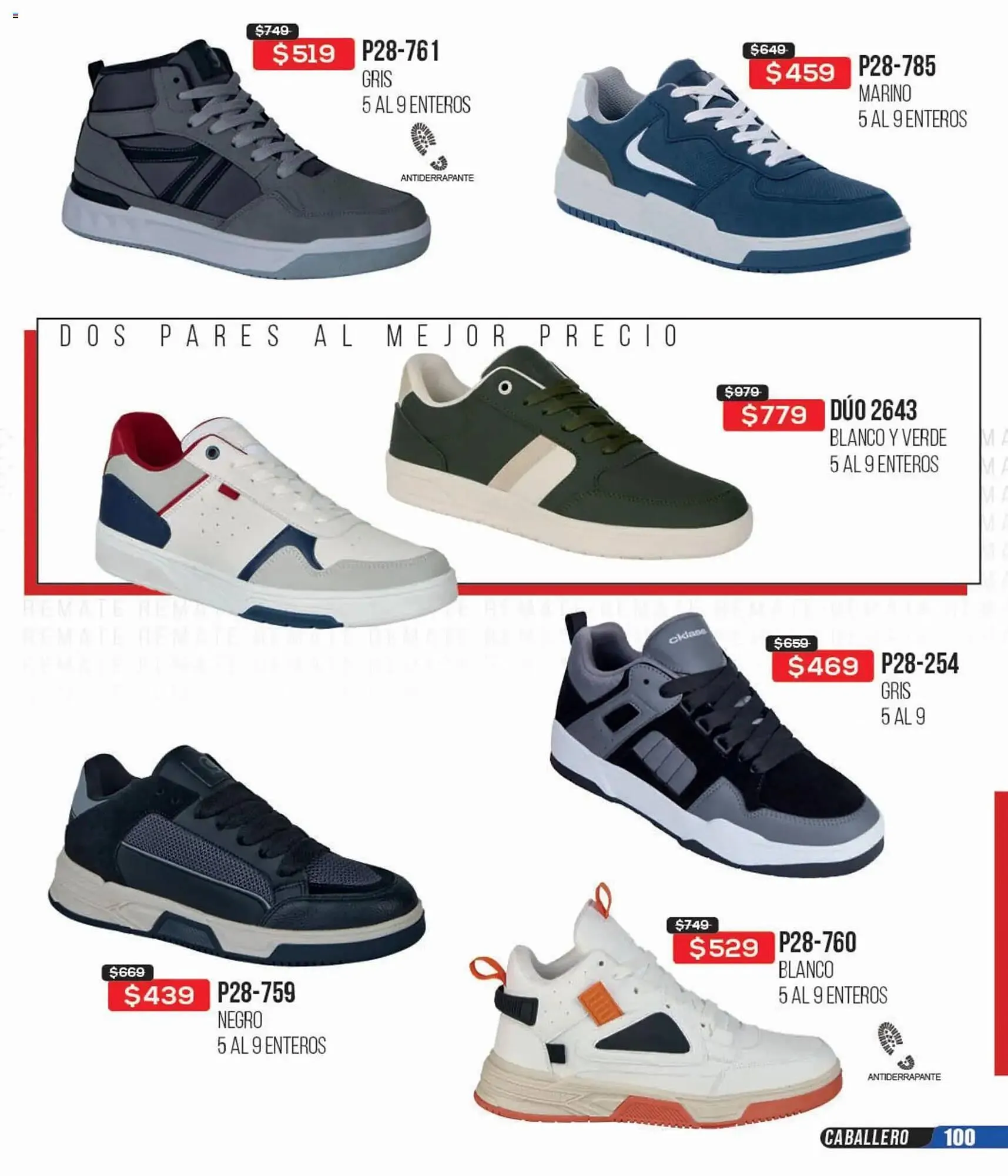 Catálogo de Catálogo Cklass 10 de febrero al 1 de junio 2026 - Pagina 234