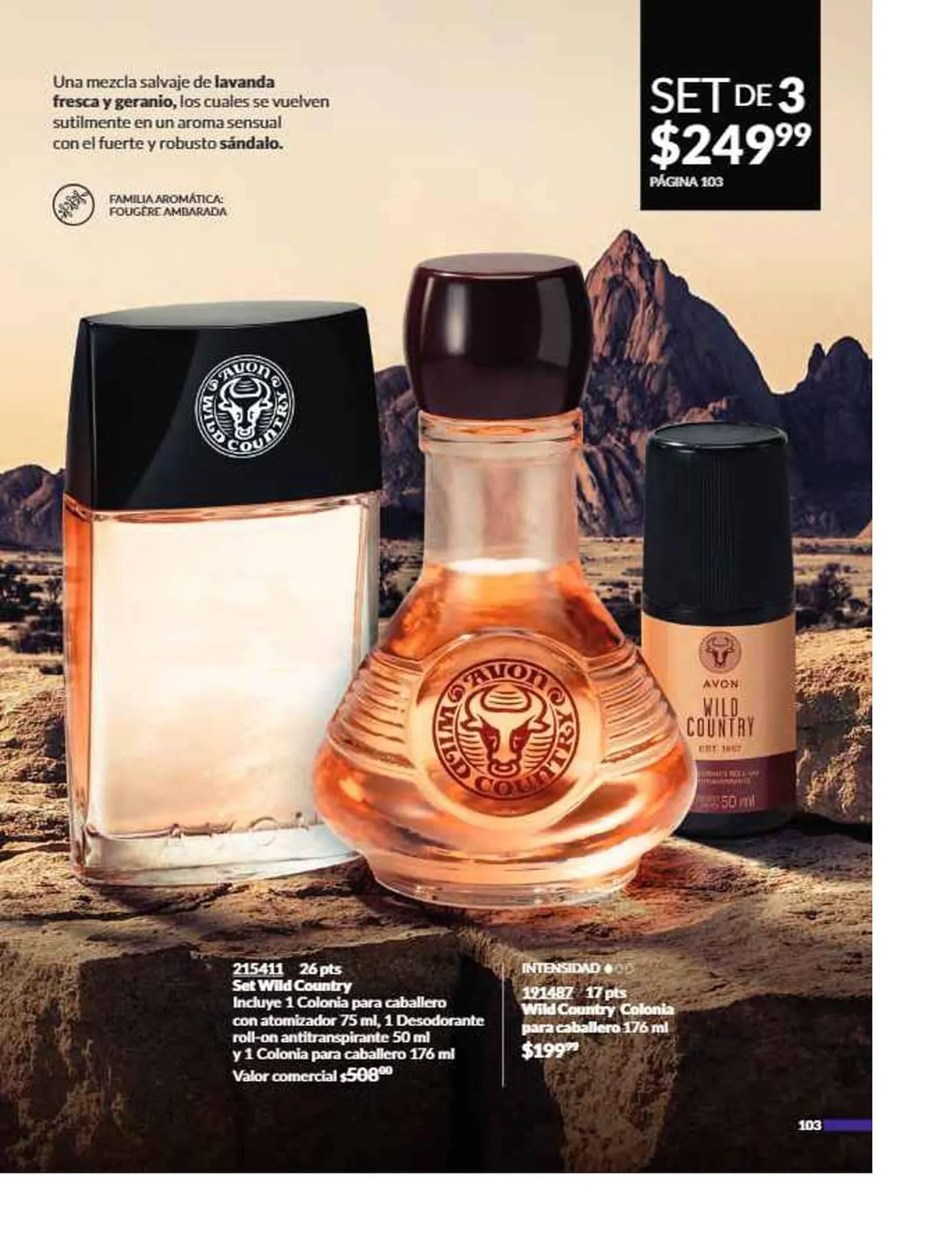 Catálogo de Catálogo Avon 16 de julio al 31 de diciembre 2025 - Pagina 108