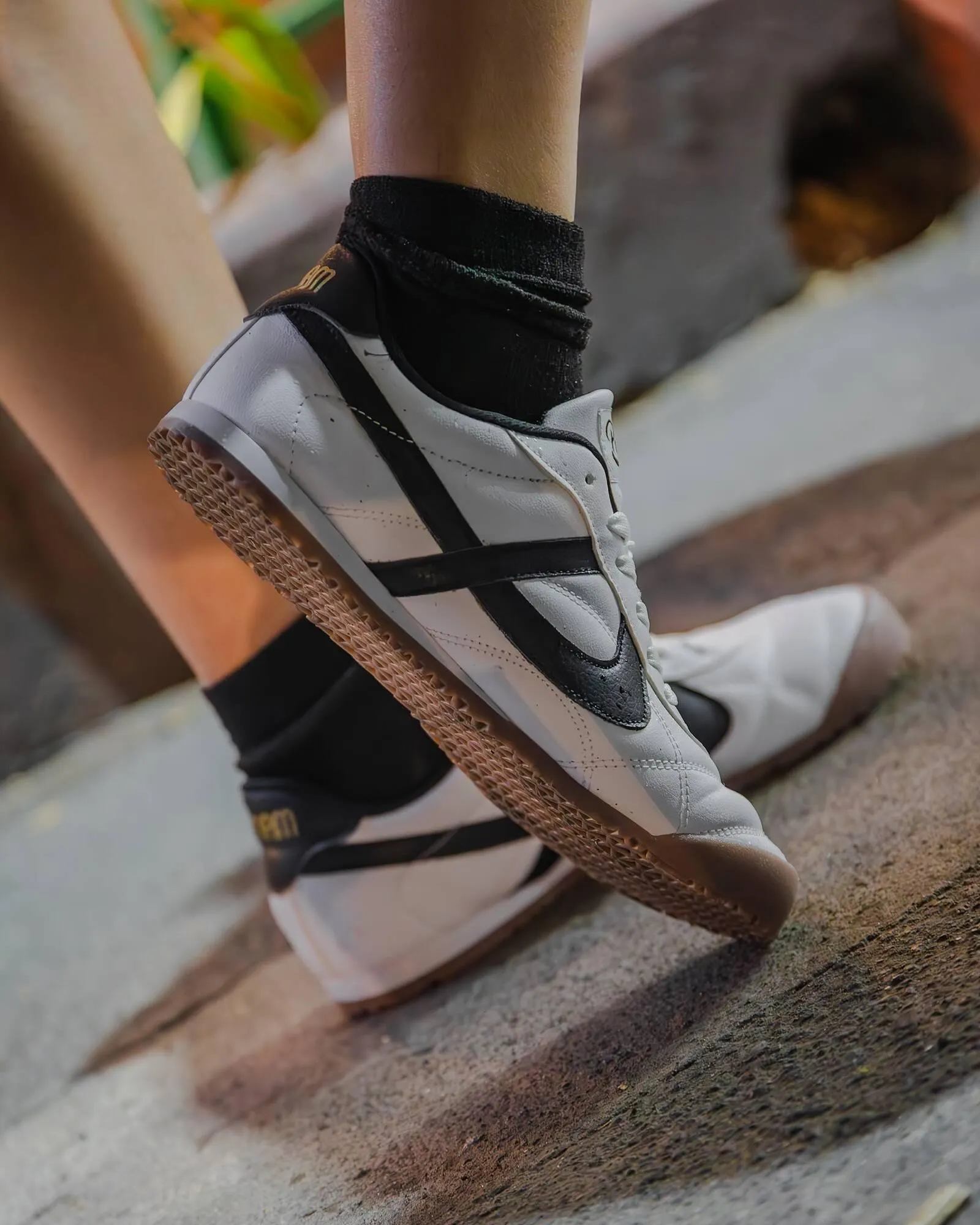 Catálogo de Catálogo Panam 11 de enero al 17 de enero 2026 - Pagina 2