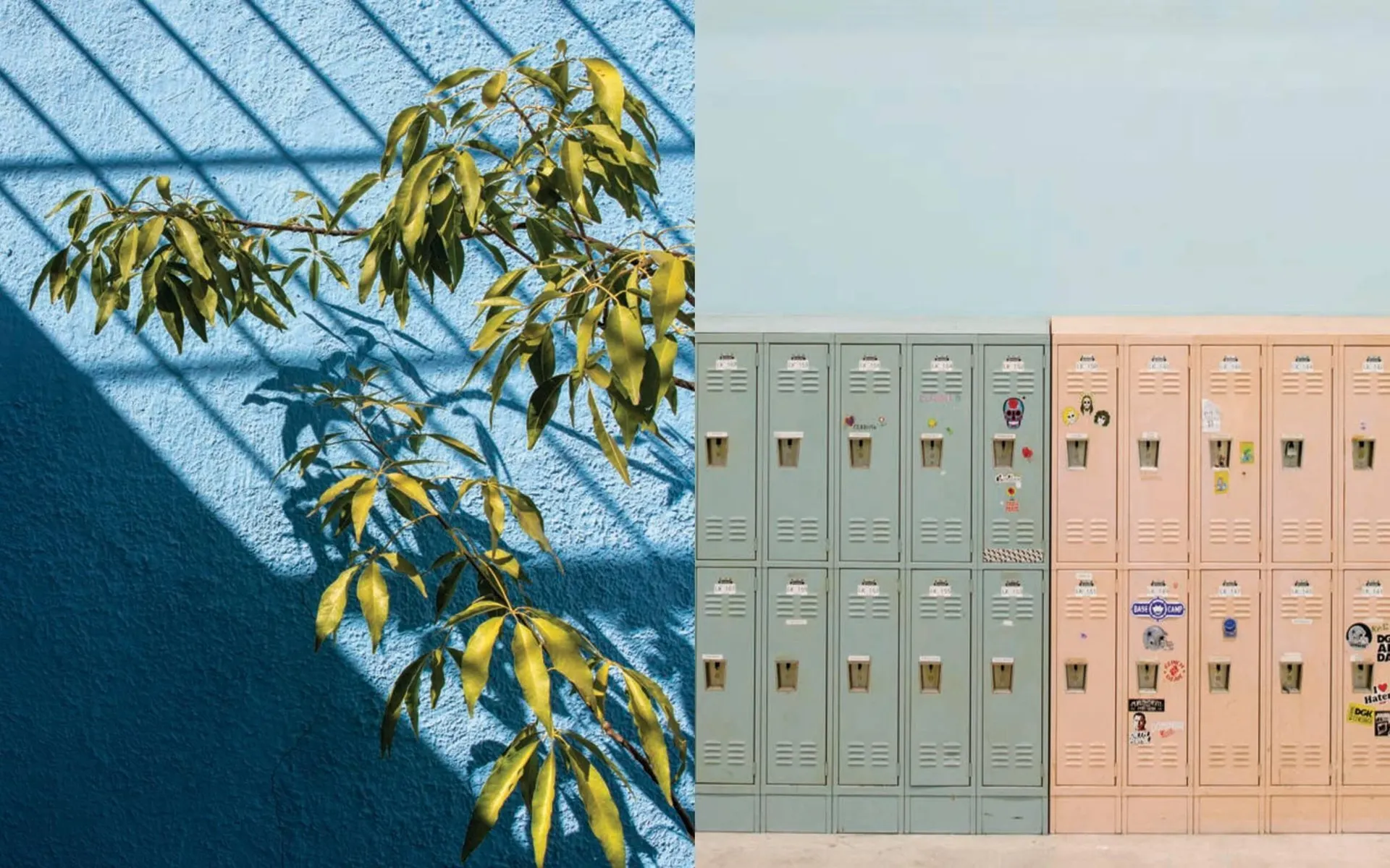 Catálogo de Catálogo Comex 22 de enero al 28 de febrero 2026 - Pagina 6