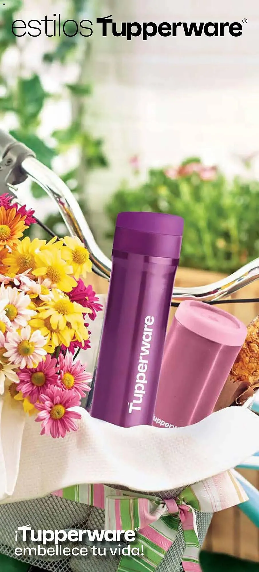 Catálogo de Catálogo Tupperware 29 de diciembre al 26 de enero 2026 - Pagina 47