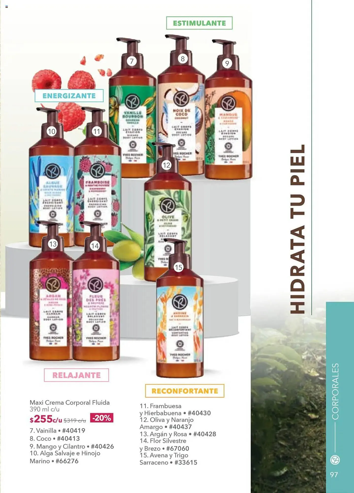 Catálogo de Catálogo Yves Rocher 24 de junio al 15 de julio 2025 - Pagina 99