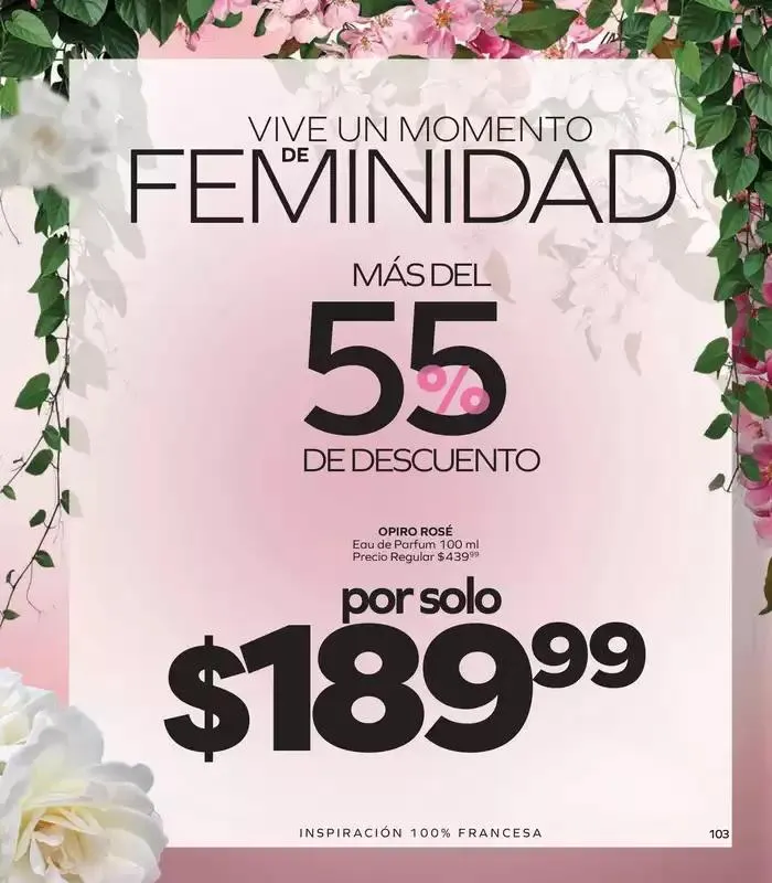 Catálogo de Folleto de Marzo 6 de marzo al 21 de marzo 2025 - Pagina 107