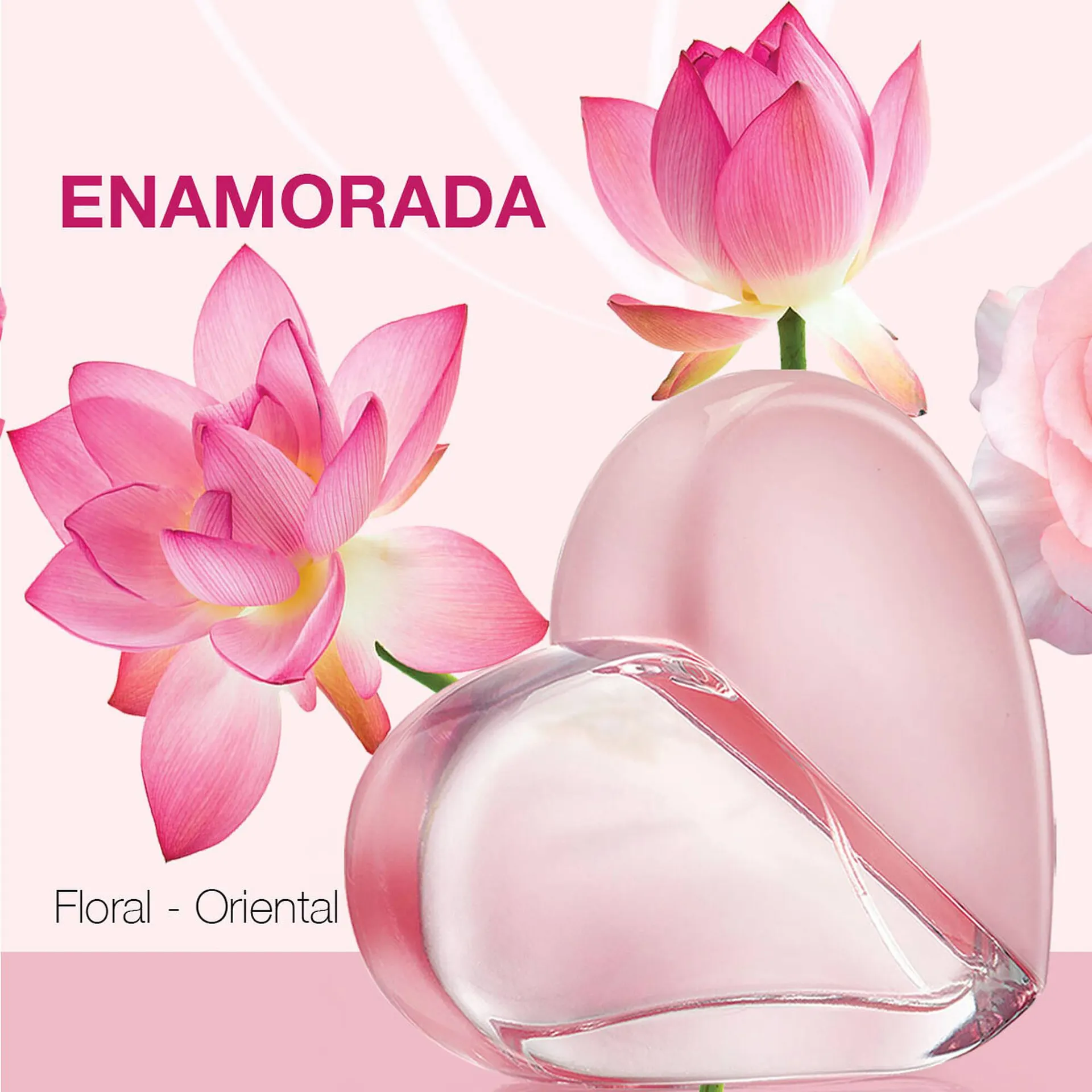 Catálogo de Catálogo Arabela 21 de abril al 4 de mayo 2026 - Pagina 2