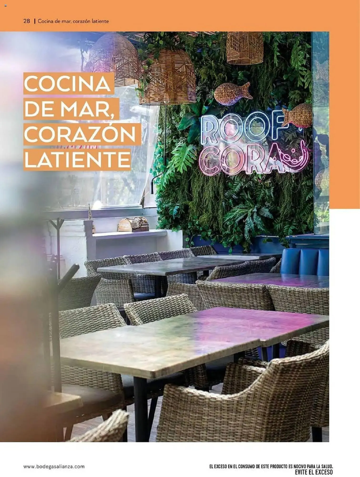 Catálogo de Folleto Bodegas Alianza 1 de abril al 1 de julio 2026 - Pagina 30