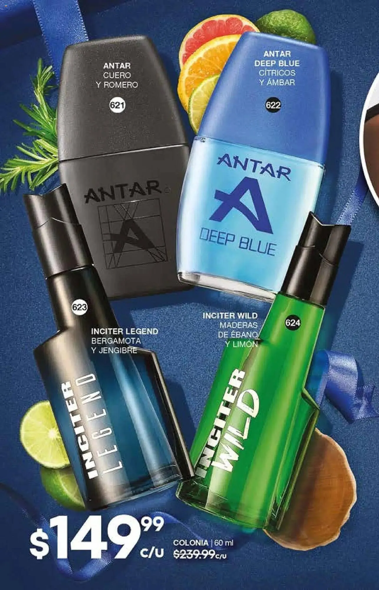 Catálogo de Catálogo Fuller 29 de octubre al 30 de noviembre 2025 - Pagina 202