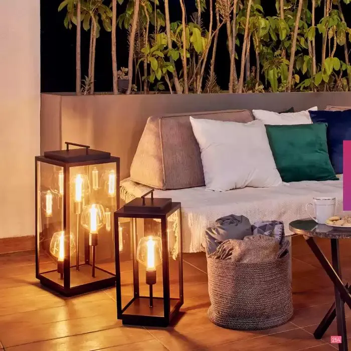 Catálogo de Catálogo 2024 10 de octubre al 31 de enero 2025 - Pagina 255