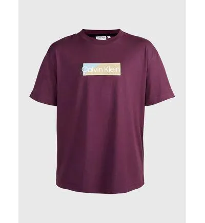 Playera Calvin Klein con Logo Hombre Morado