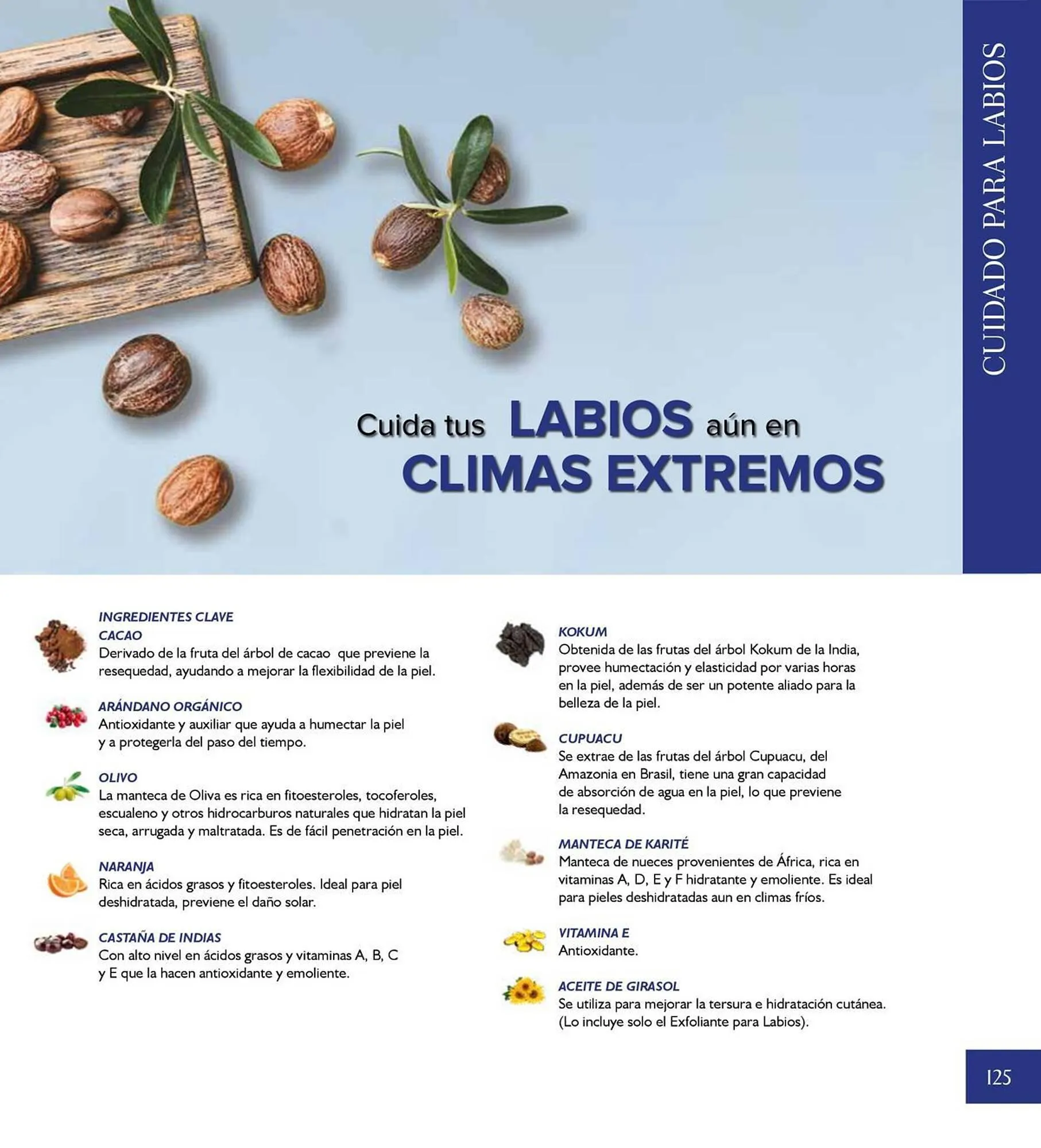 Catálogo de Catálogo Terramar Brands 5 de agosto al 31 de diciembre 2025 - Pagina 125