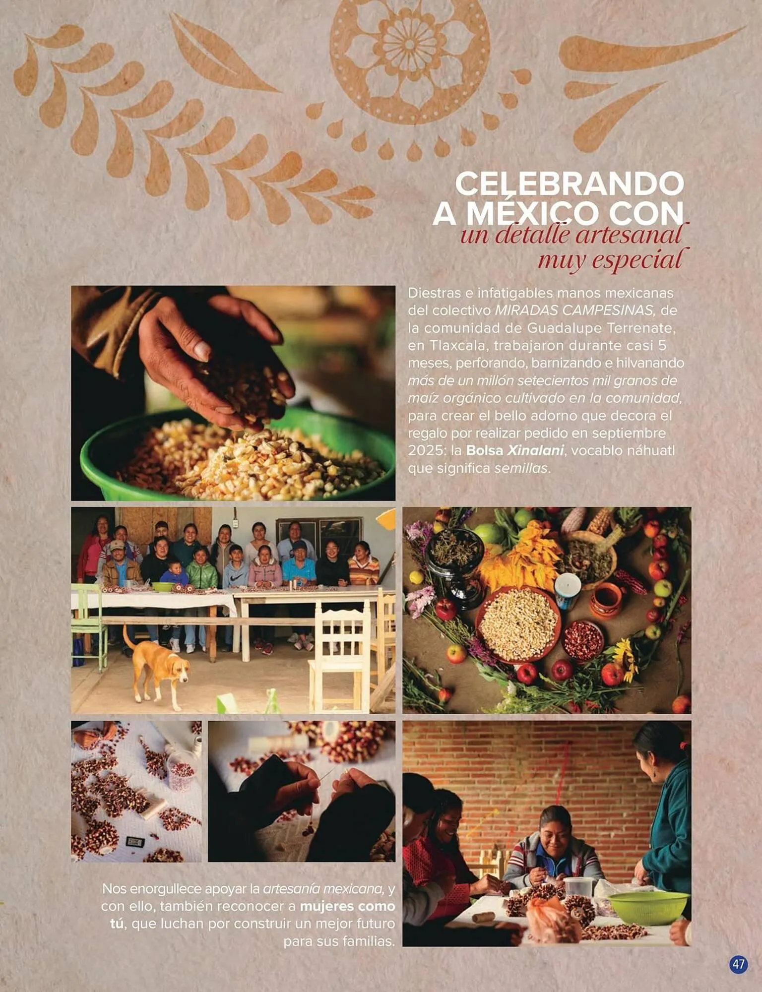 Catálogo de Catálogo Terramar Brands 5 de septiembre al 30 de septiembre 2025 - Pagina 47
