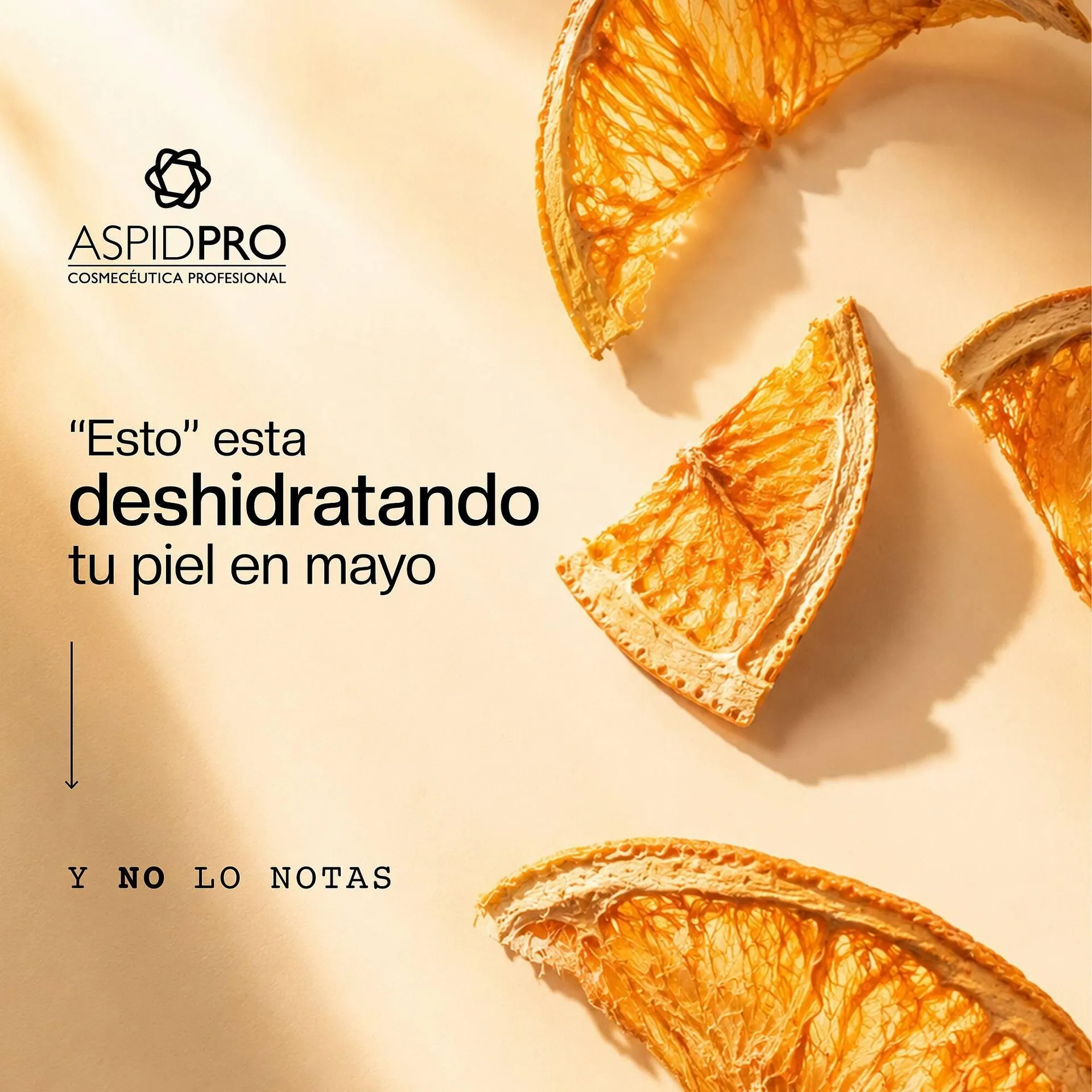 Catálogo de Catálogo AspidPro 13 de mayo al 18 de mayo 2026 - Pagina 1