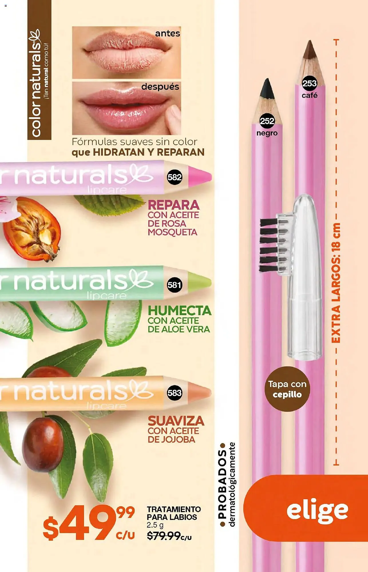 Catálogo de Catálogo Fuller 10 de diciembre al 31 de diciembre 2025 - Pagina 121