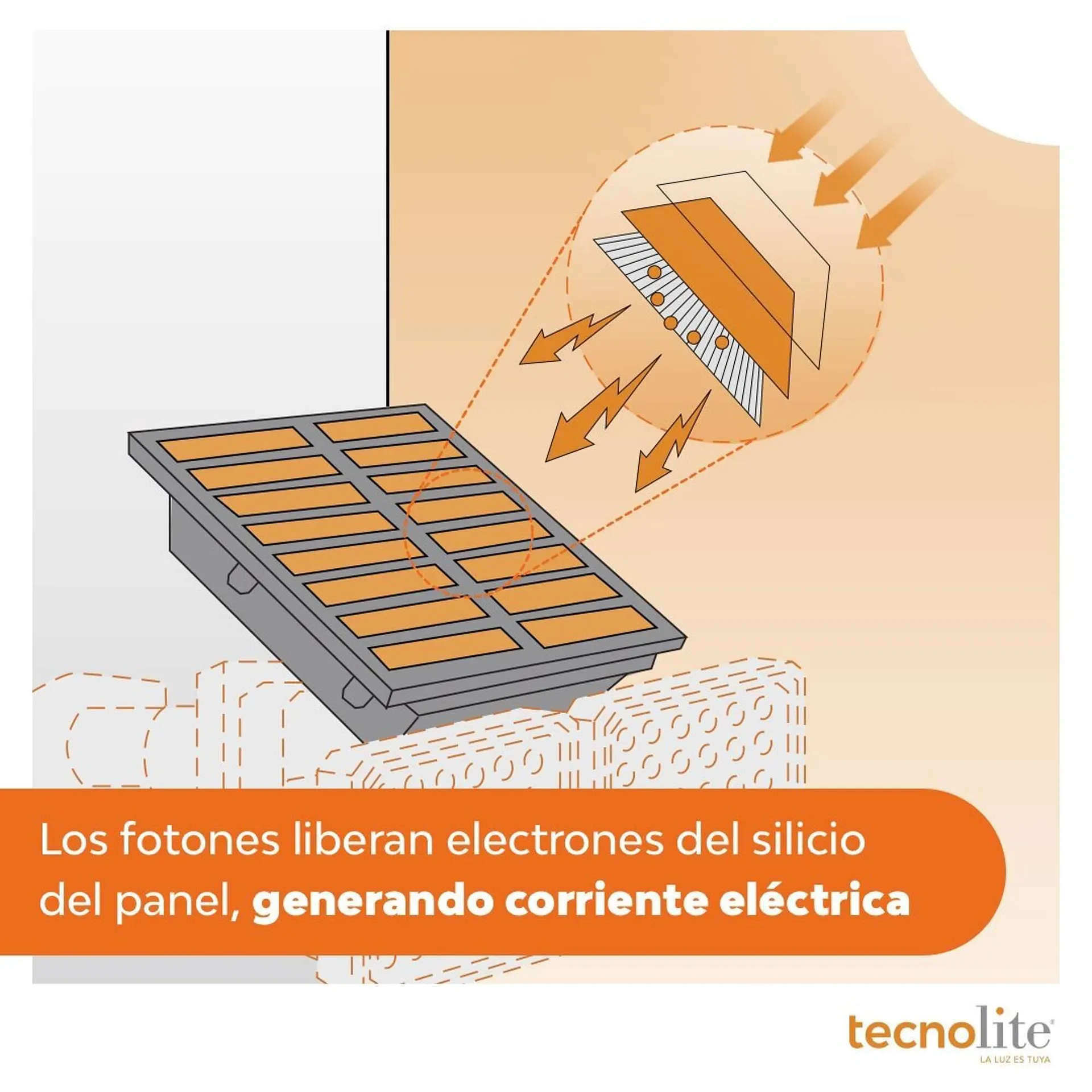Catálogo de Catálogo Tecnolite 3 de septiembre al 30 de septiembre 2025 - Pagina 3