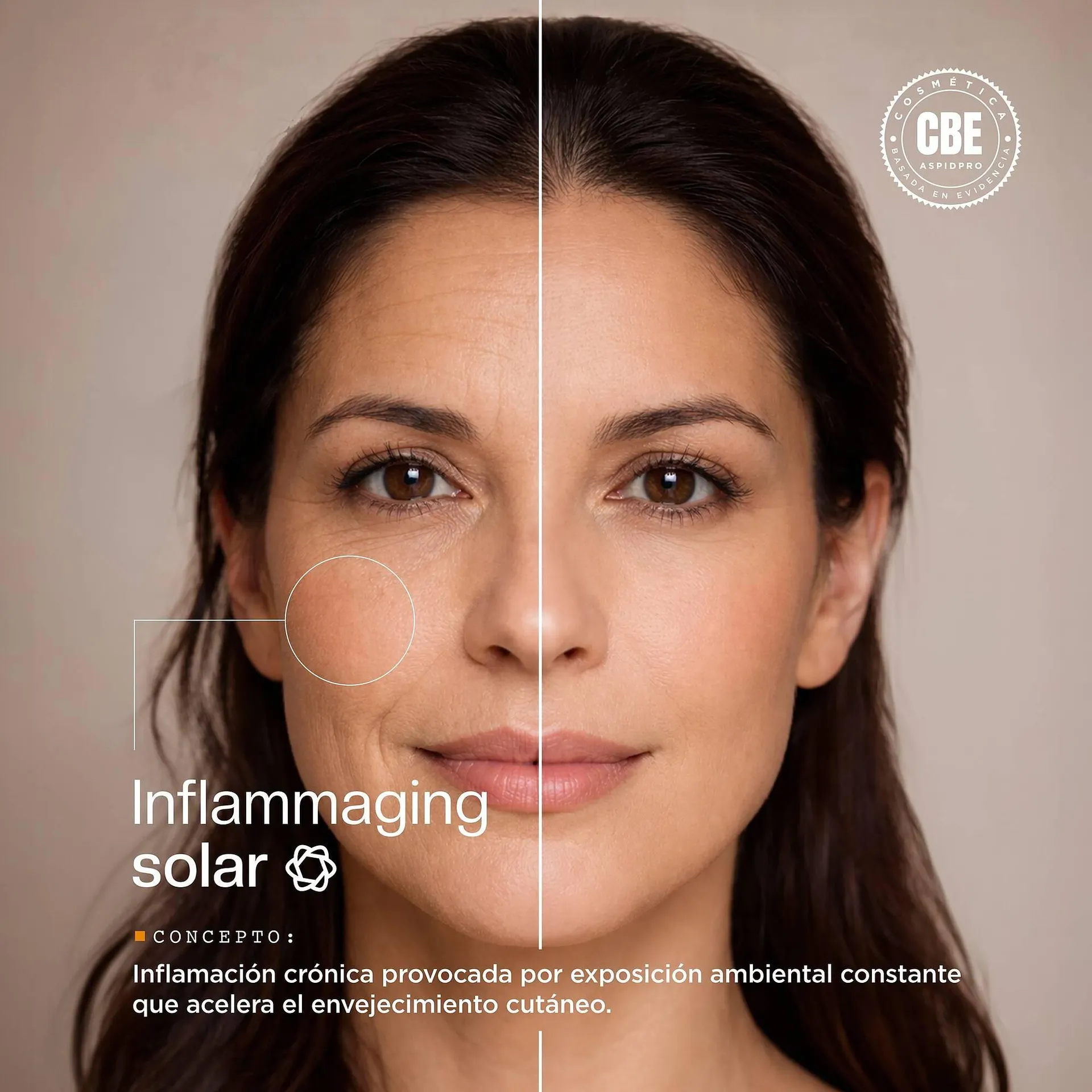 Catálogo de Catálogo AspidPro 1 de abril al 15 de abril 2026 - Pagina 2