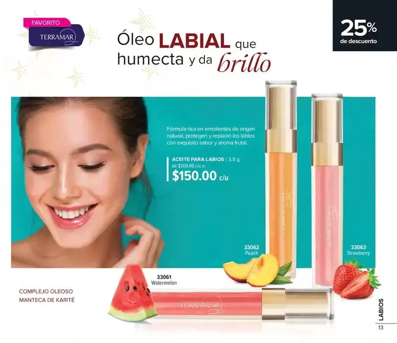 Catálogo de Folleto de mes 4 de noviembre al 30 de noviembre 2024 - Pagina 13