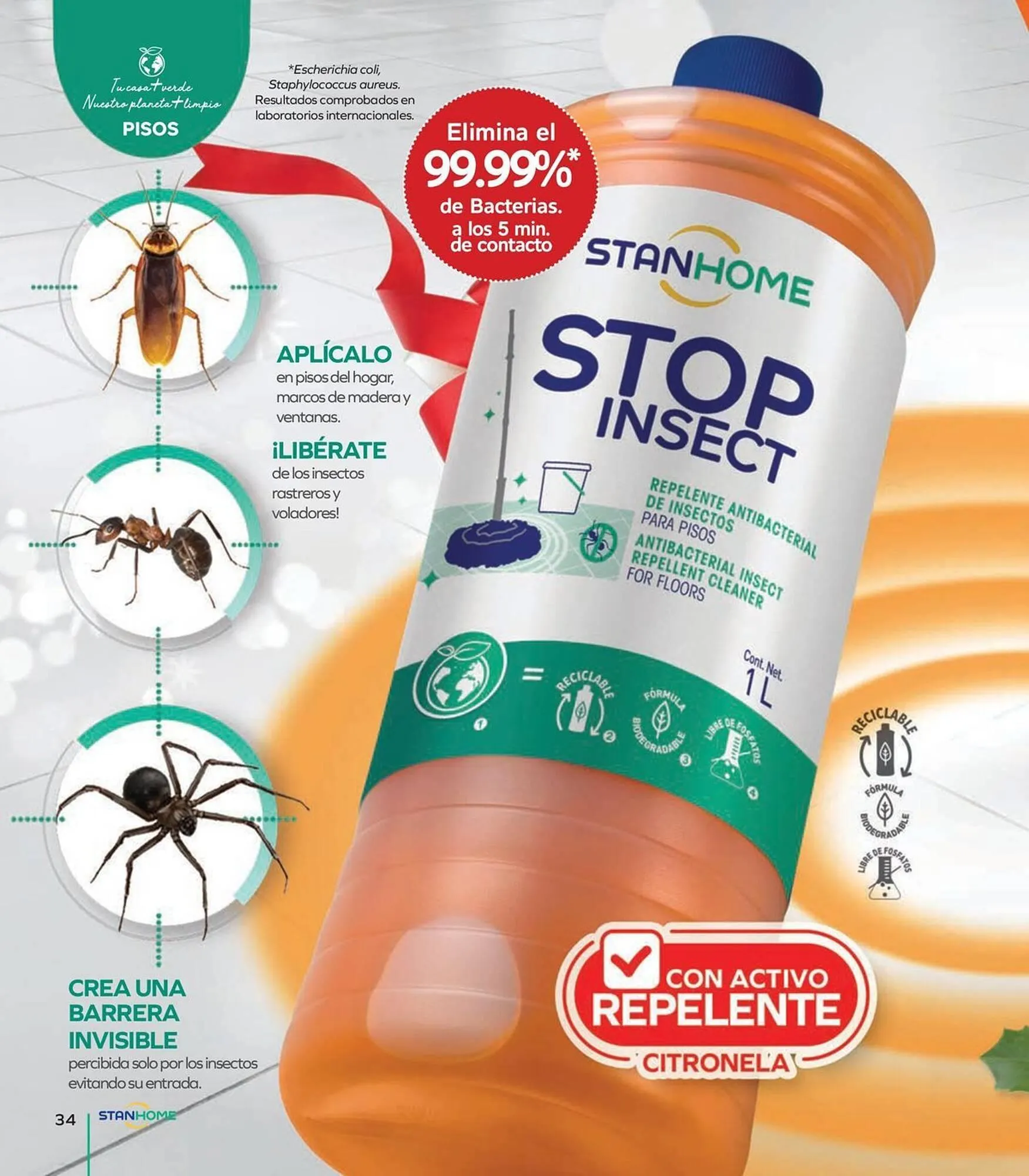 Catálogo de Catálogo Stanhome 24 de noviembre al 11 de diciembre 2025 - Pagina 38