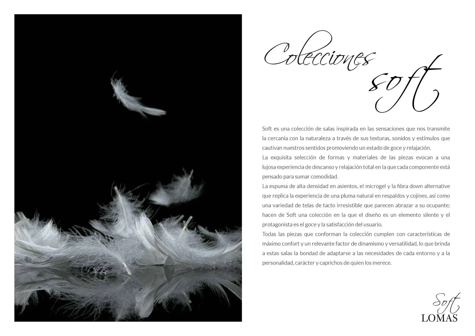 Catálogo de Catálogo Casa de las Lomas 30 de mayo al 31 de diciembre 2025 - Pagina 2