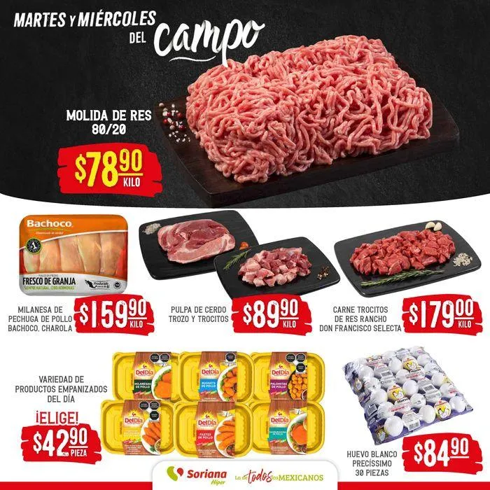 Catálogo de Martes y Miércoles del Campo Híper 4 de junio al 6 de junio 2024 - Pagina 4